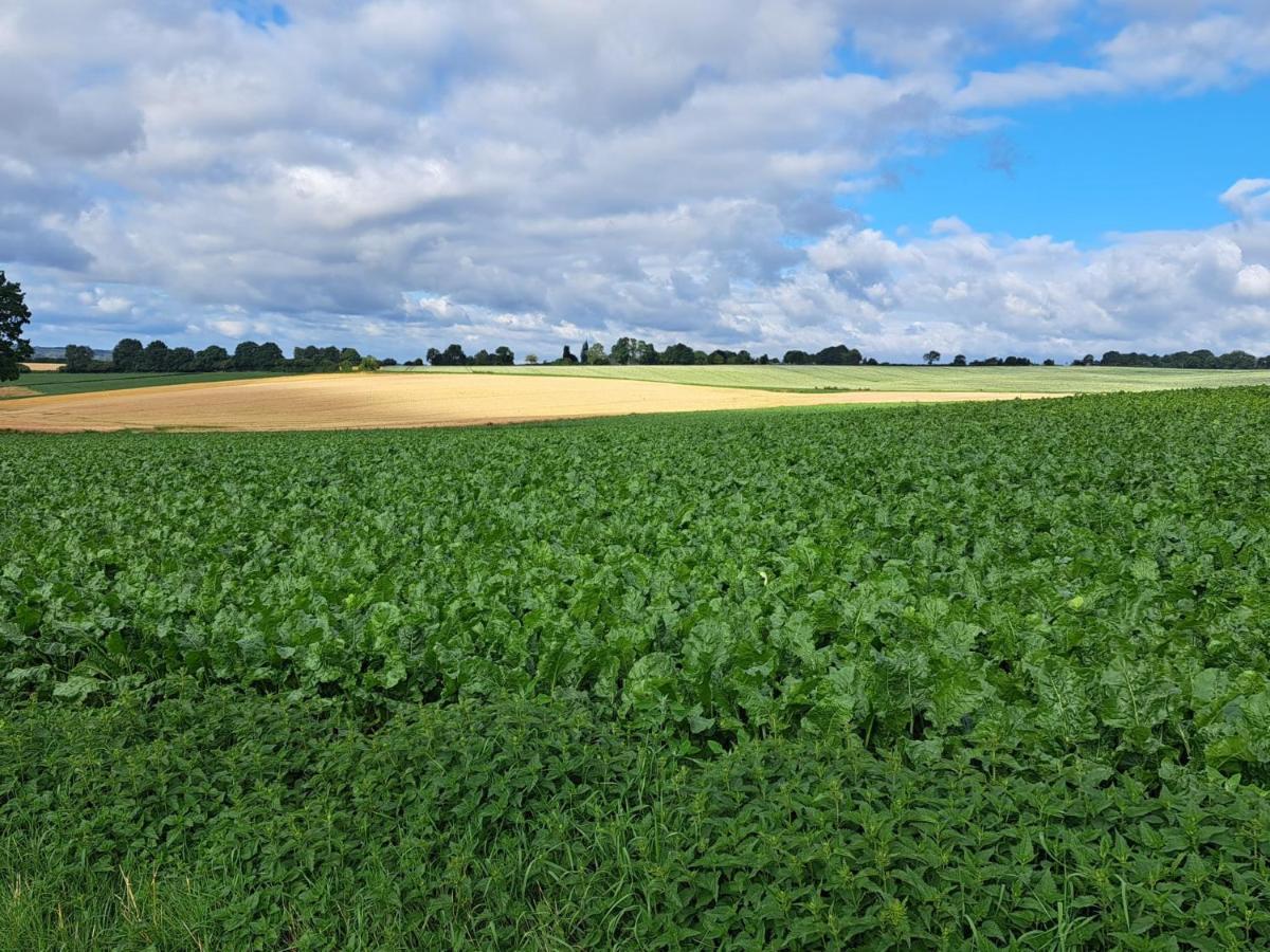 Steef'S Vakantiehuis Zuid Limburg Simpelveld Esterno foto