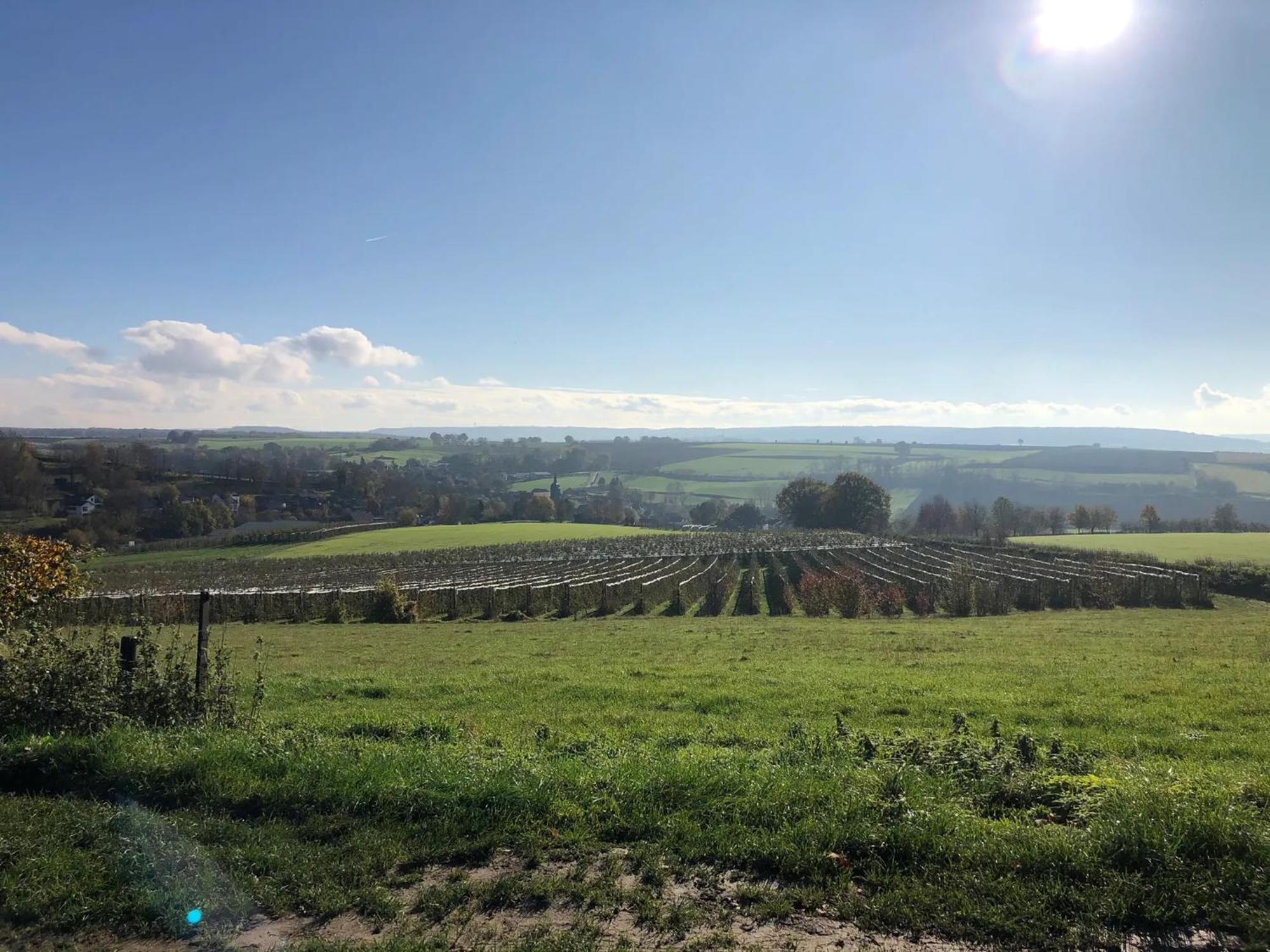 Steef'S Vakantiehuis Zuid Limburg Simpelveld Esterno foto