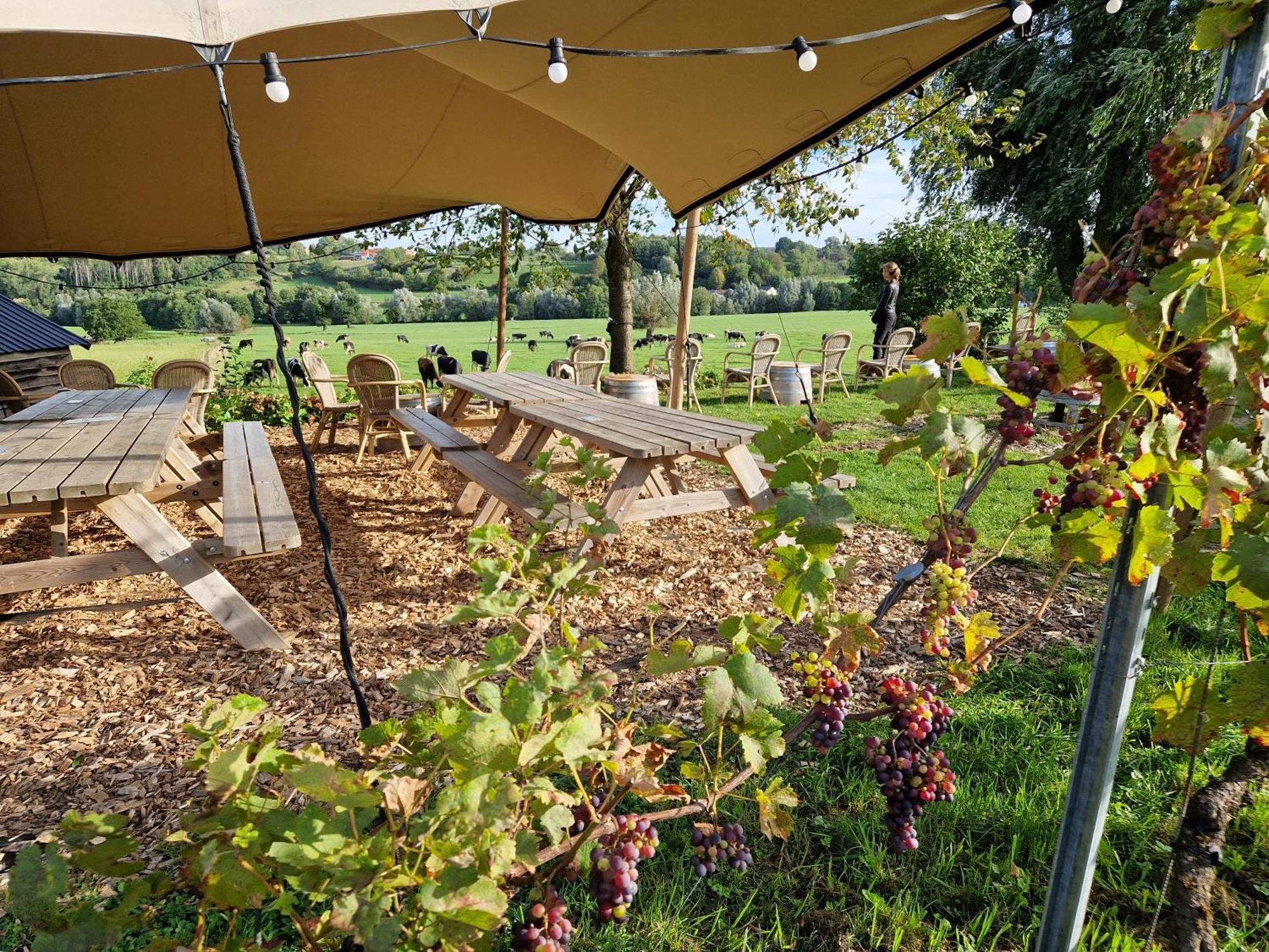 Steef'S Vakantiehuis Zuid Limburg Simpelveld Esterno foto